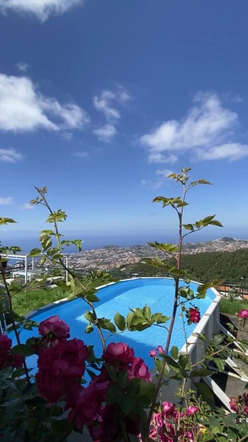 Studio Geek Villa - Open Space - 5M From 5 Top Attractions - Pool All Year Round, Dining Pergola, Barbecue - Funchal Matrix Holiday Home エクステリア 写真