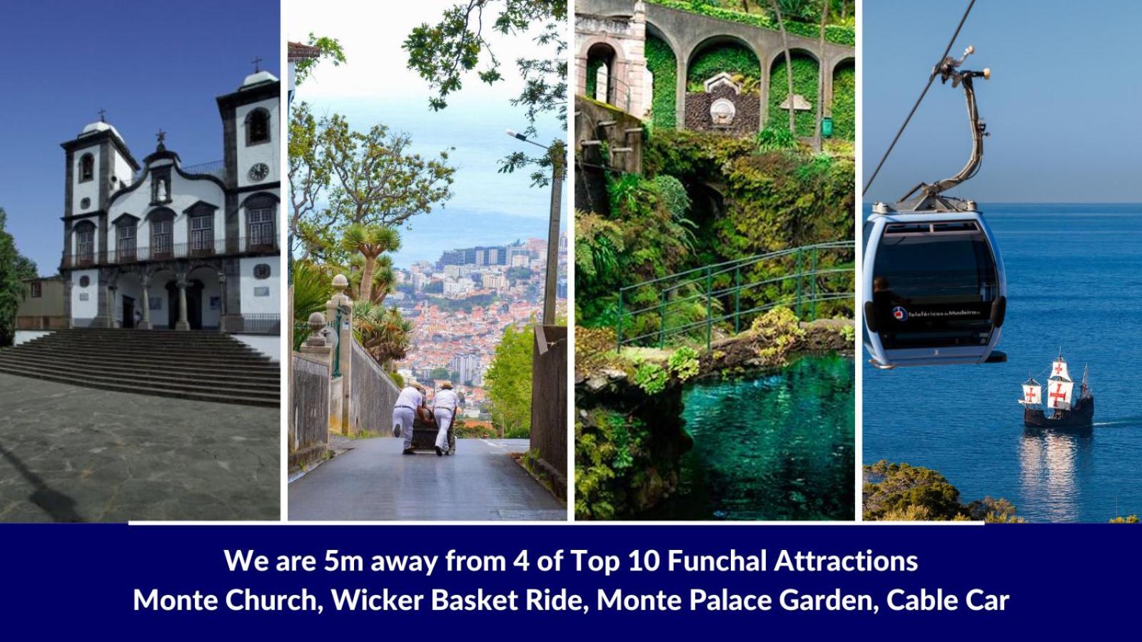 Studio Geek Villa - Open Space - 5M From 5 Top Attractions - Pool All Year Round, Dining Pergola, Barbecue - Funchal Matrix Holiday Home エクステリア 写真